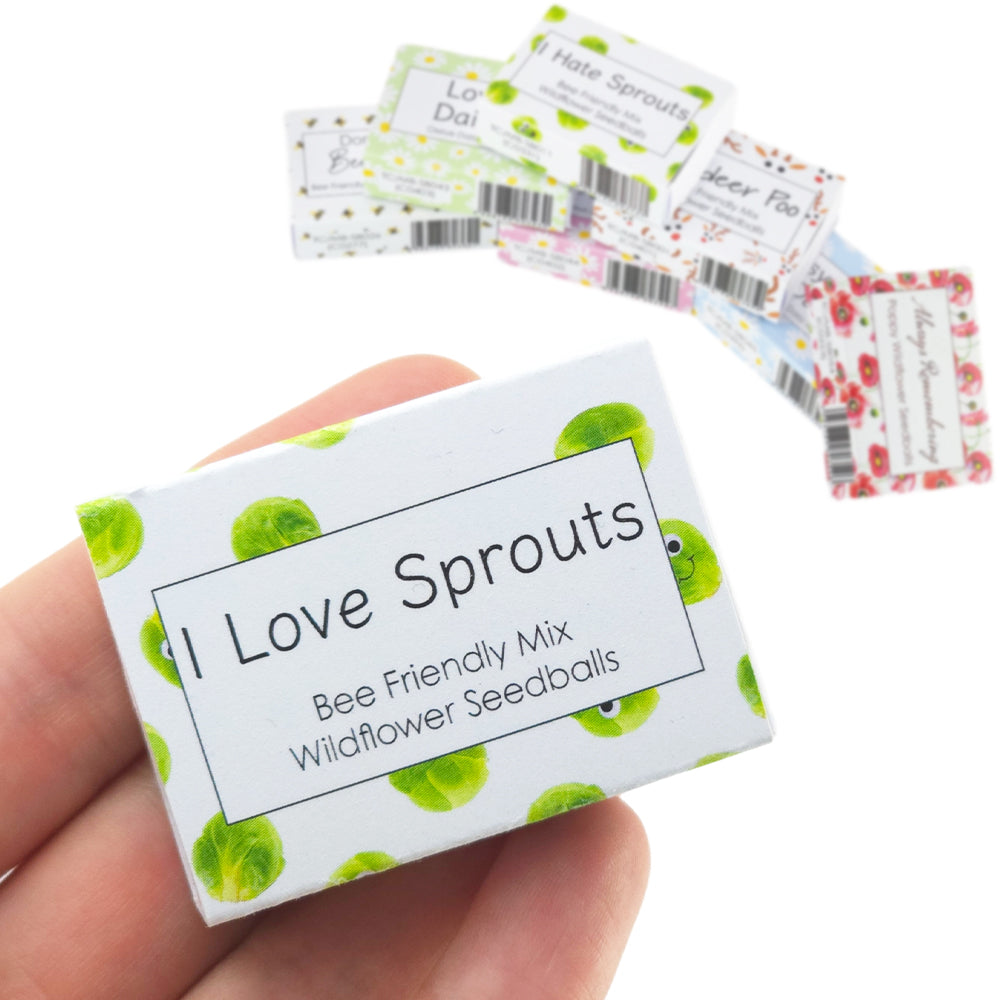 I Love Sprouts | Seedball Matchbox | Bee Mix | Cracker Filler | Mini Gift