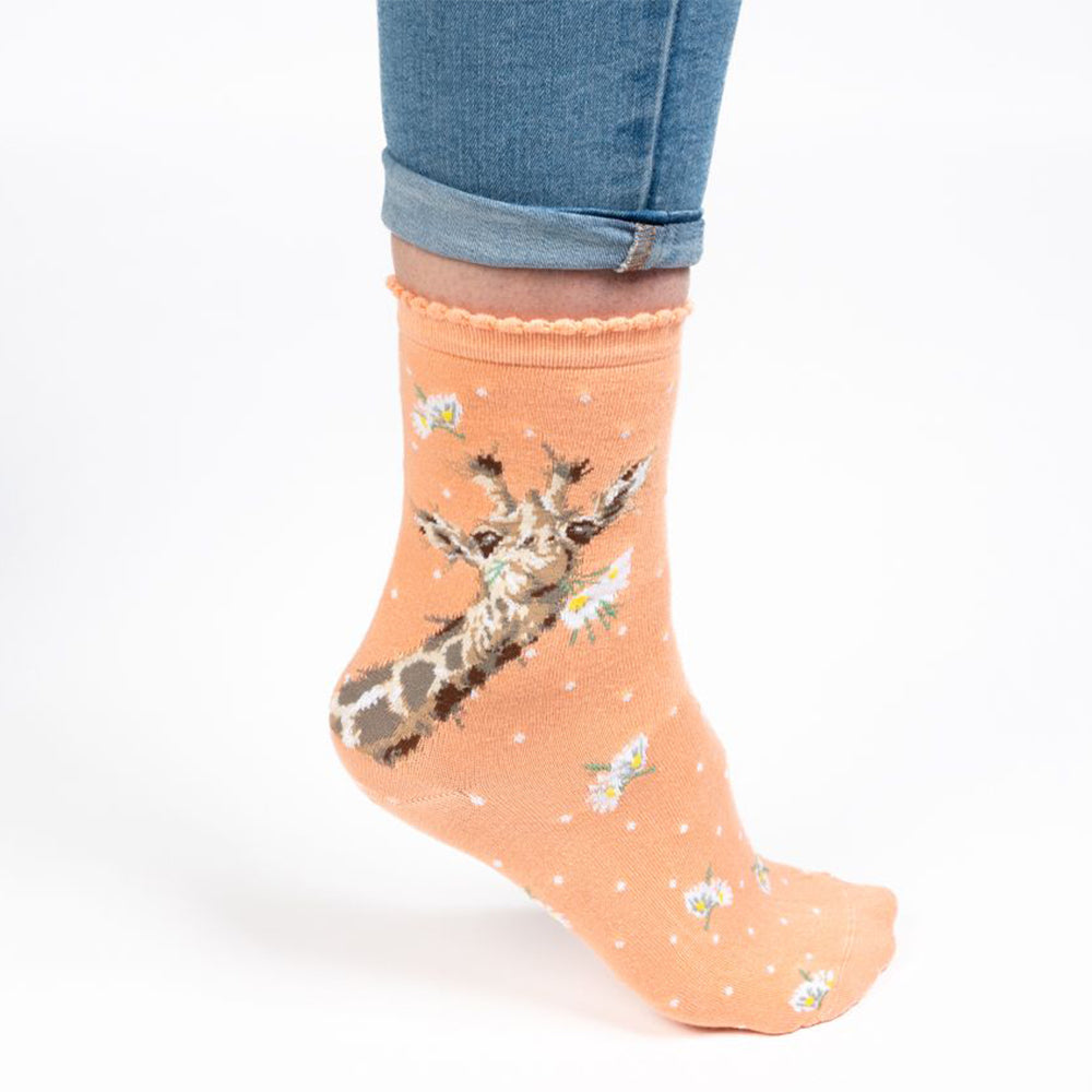 Daisy Giraffe | Ladies Supersoft Bamboo Socks | One Size | Wrendale Designs