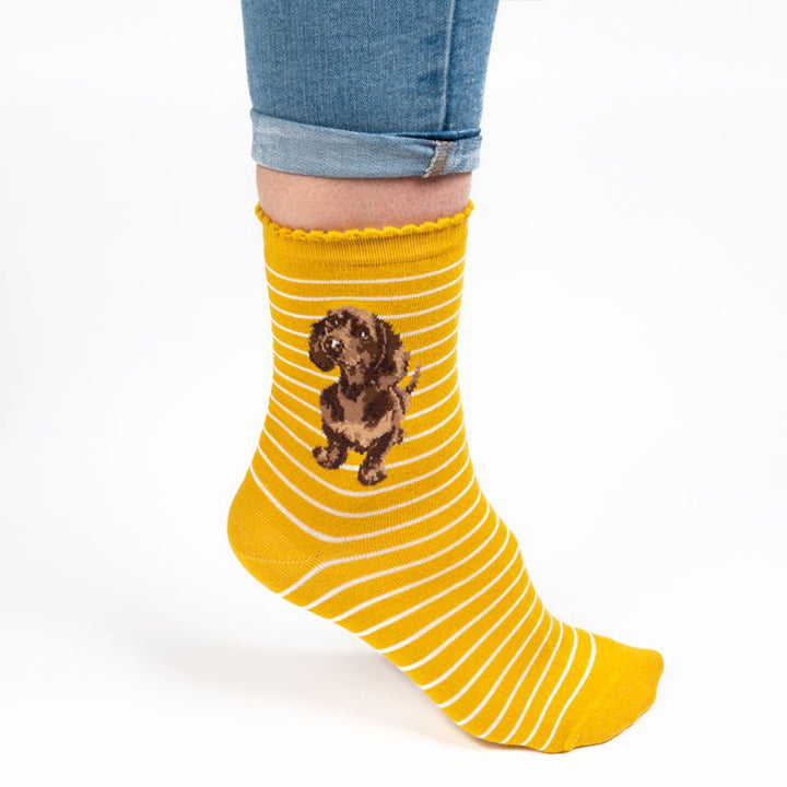 Waggy Dachshund | Ladies Supersoft Bamboo Socks | One Size | Wrendale Designs