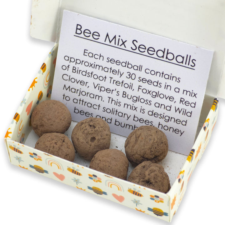Bee Mix for Kids | 6 Seedball Matchbox | Cracker Filler | Little Gift