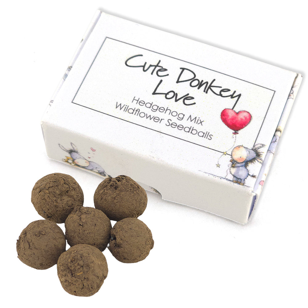 Cute Donkey Love | Hedgehog Friendly Seedball Box | Valentines Cracker Gift