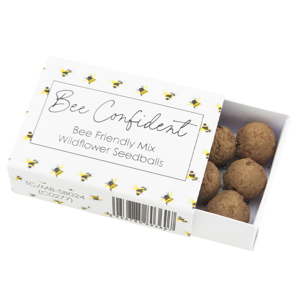 Bee Confident | 6 Seedball Matchbox | Bee Mix | Cracker Filler | Little Gift