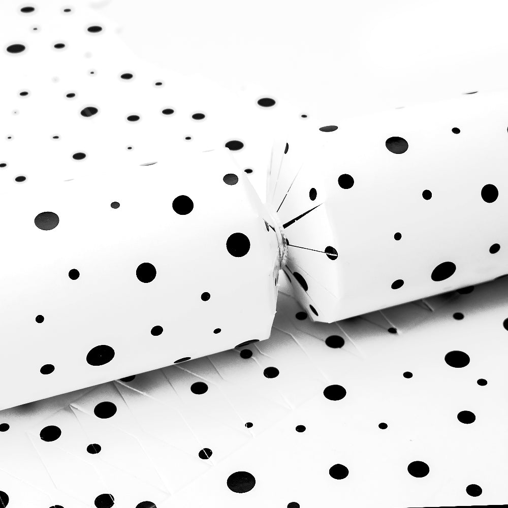 Dalmatian Dots | Cracker Making Craft Kit | Make &amp; Fill Your Own