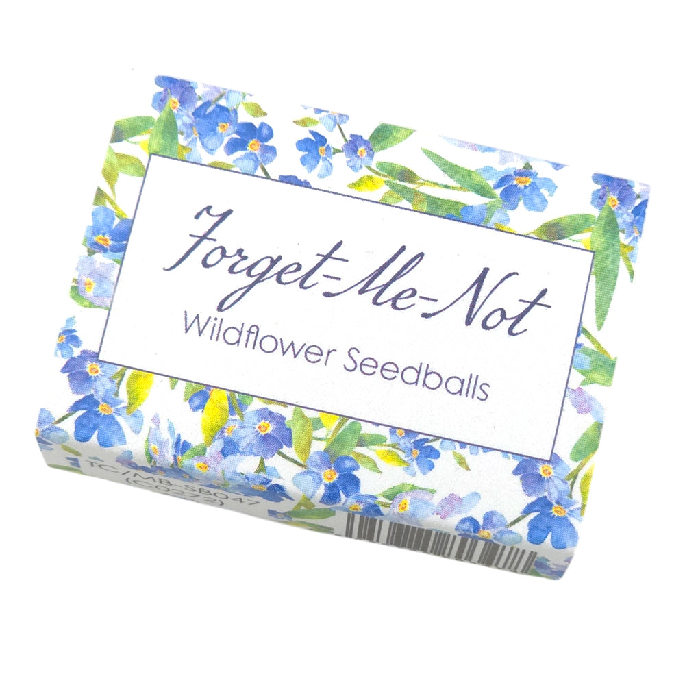 Watercolour Forget Me Not | Seedball Matchbox | Cracker Filler | Mini Gift