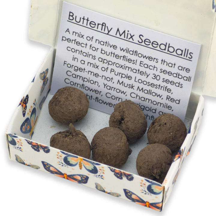 Butterfly Mix for Kids | 6 Seedball Matchbox | Cracker Filler | Little Gift