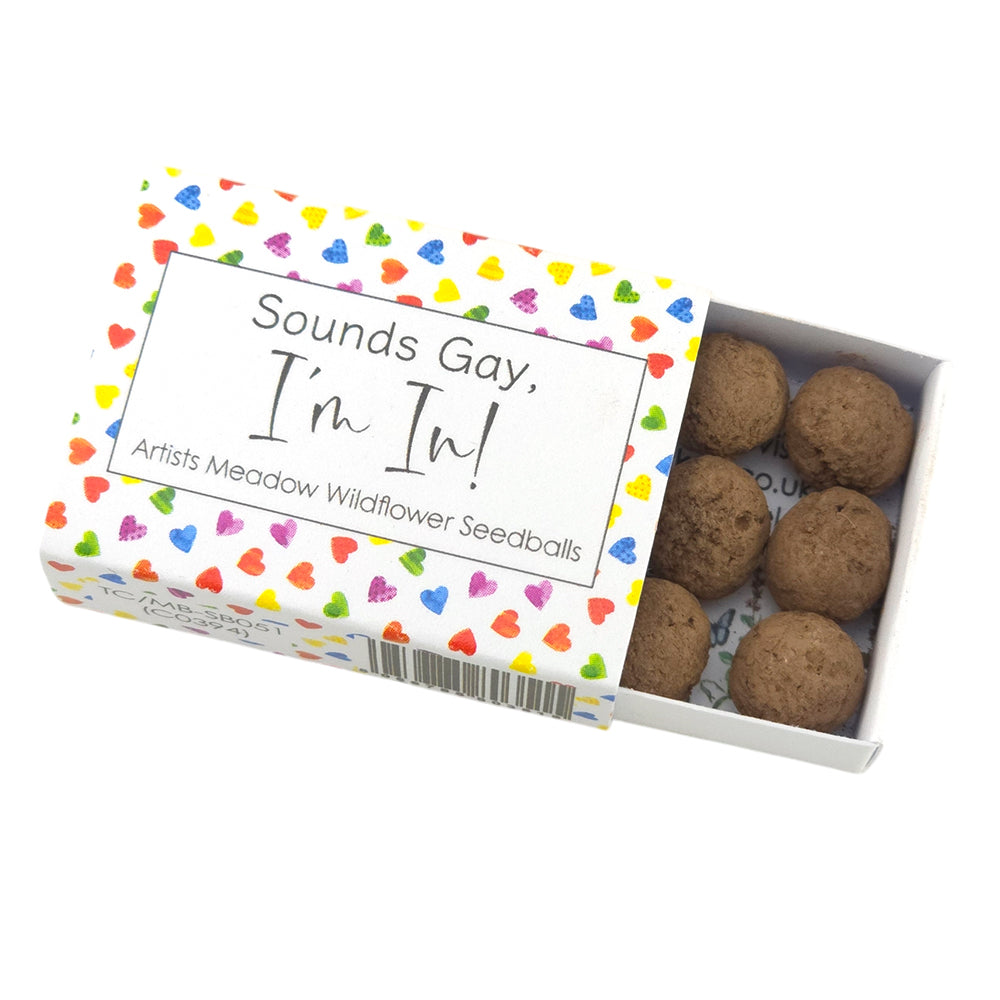 Sounds Gay, I'm In! | Artist Mix | 6 Seedball Box | Cracker Filler | Little Gift