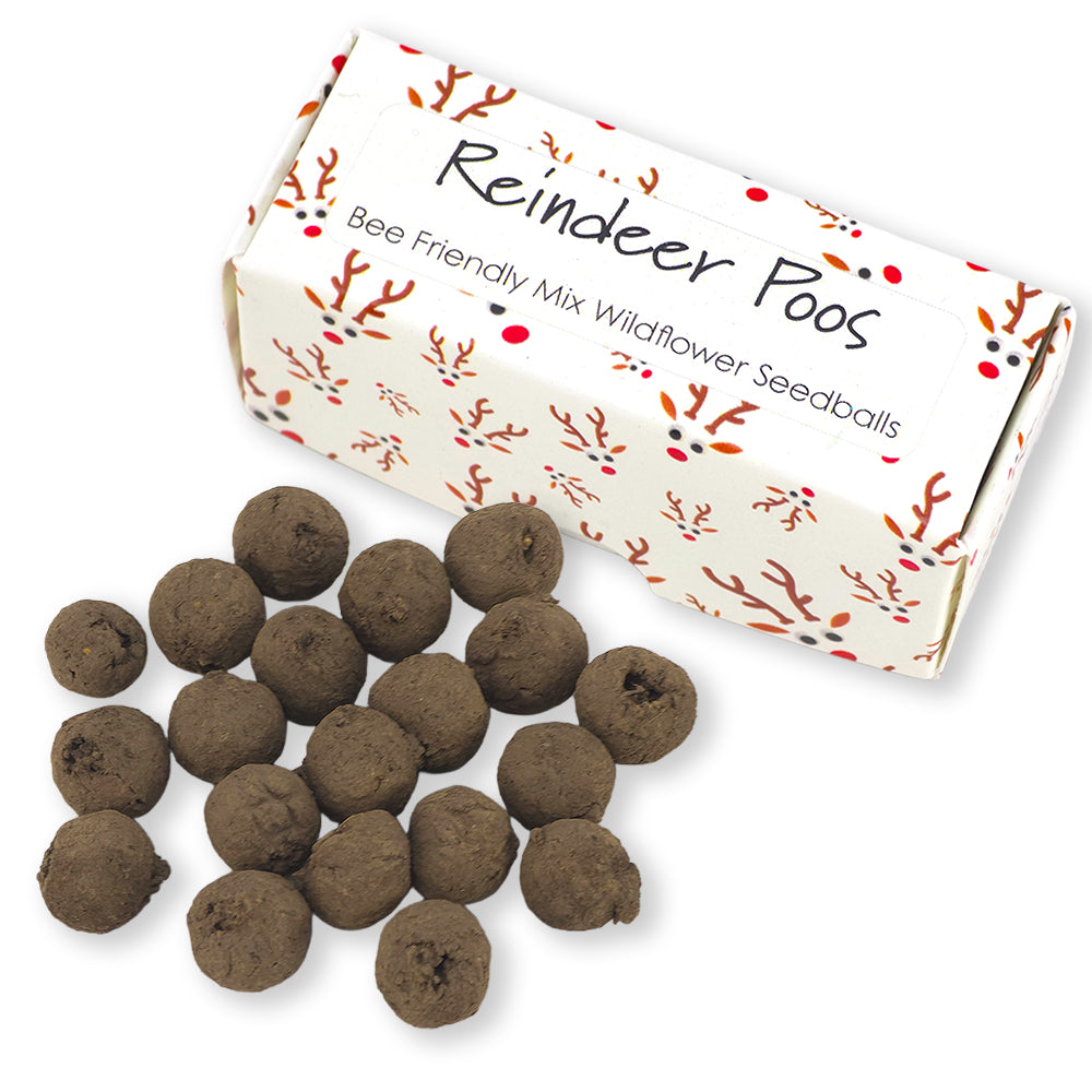 Reindeer Poos | Box of 20 Bee Mix Seedballs | Cracker Filler | Little Gift