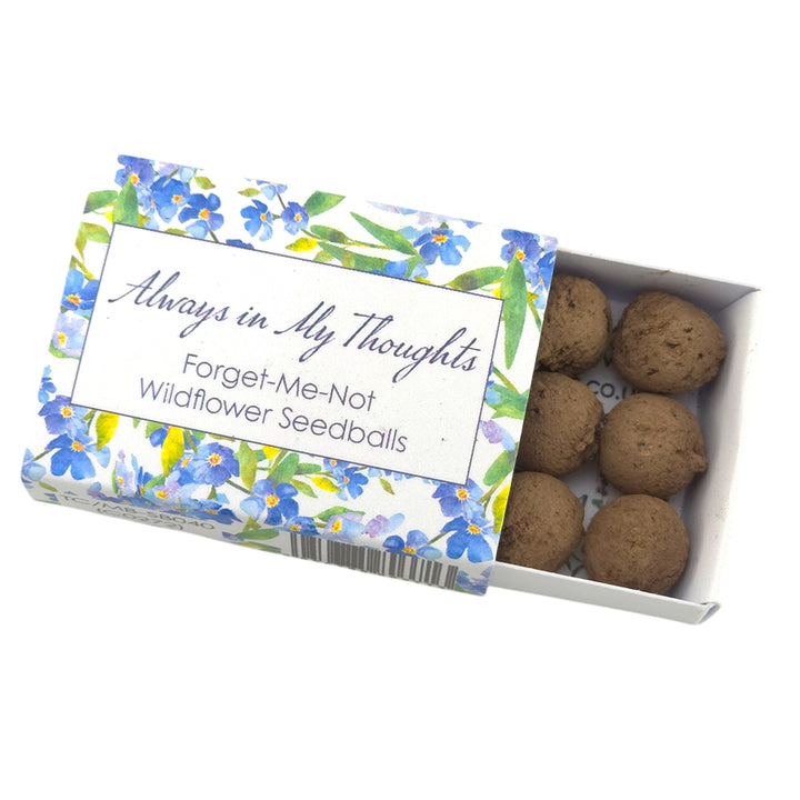 Always in My Thoughts | Forget Me Nots |  6 Seedballs | Cracker Filler Gift