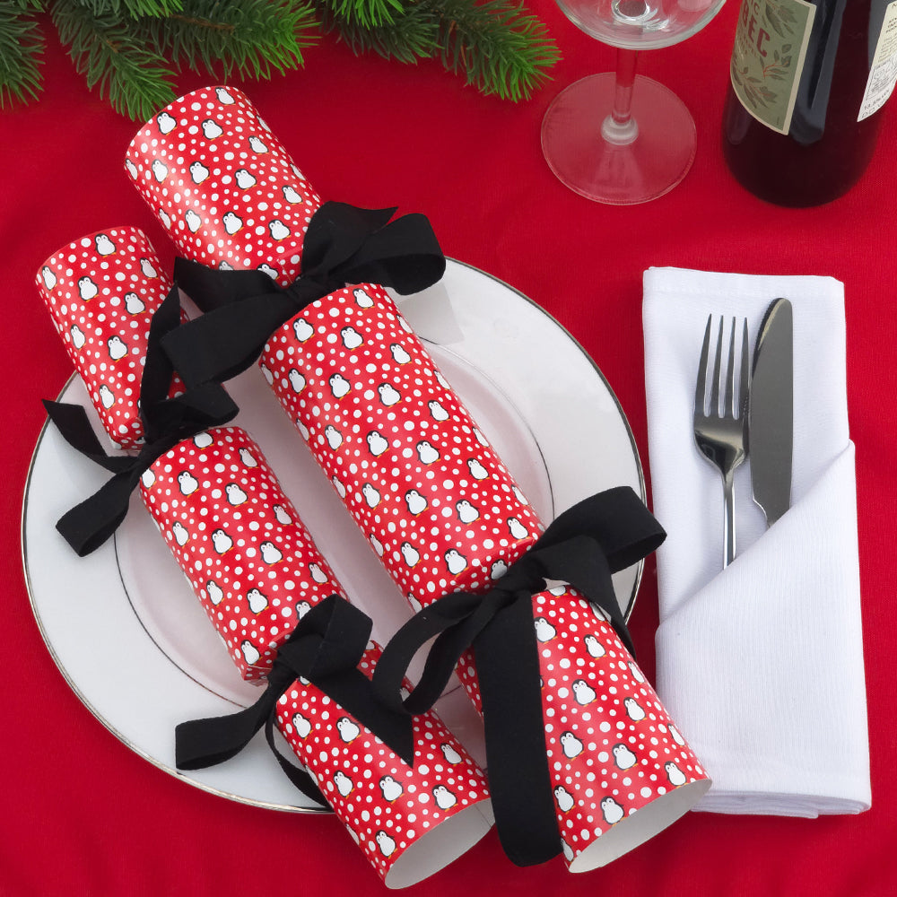 Snowtime Penguin | Eco Christmas Cracker Making Kit | Make & Fill Your Own