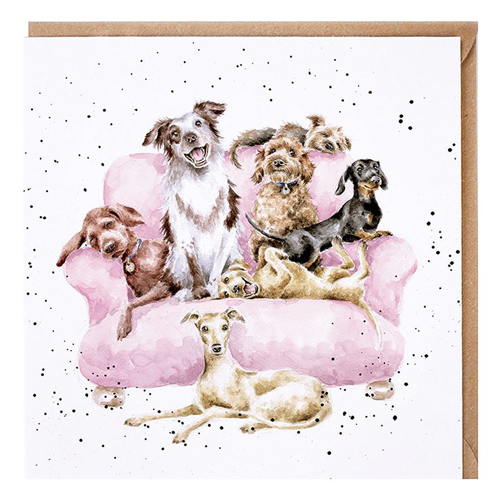 Movie Night Dogs | Blank Card | 15x15cm | Wrendale Designs