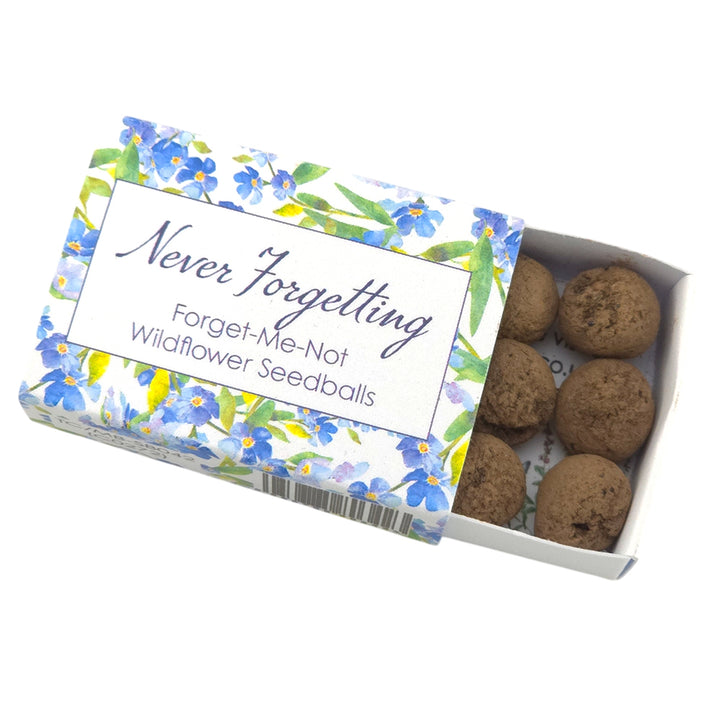 Never Forgetting | Forget Me Not Seedballs | Cracker Filler | Mini Gift