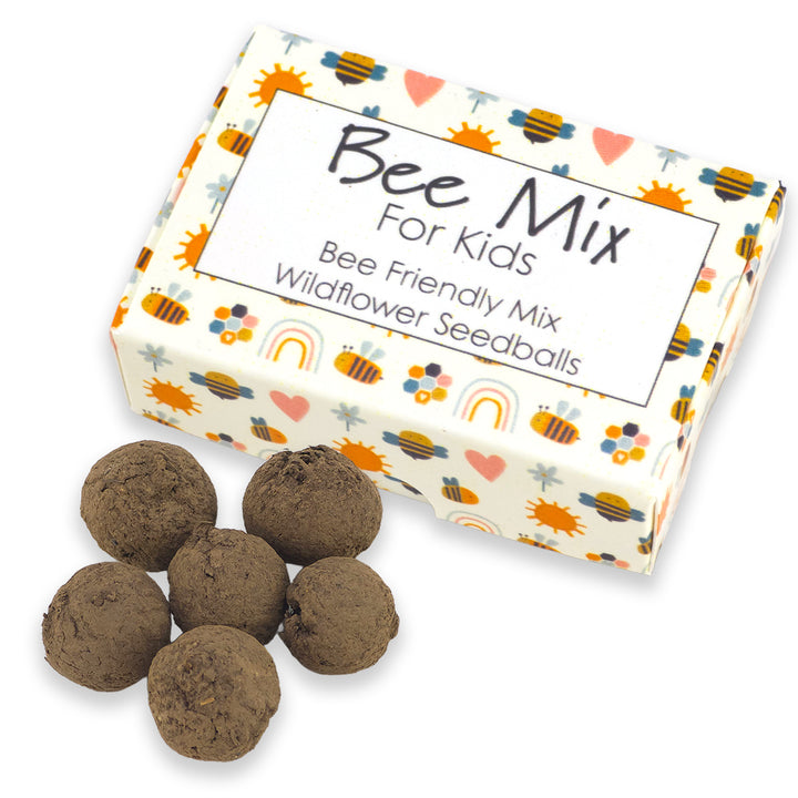 Bee Mix for Kids | 6 Seedball Matchbox | Cracker Filler | Little Gift
