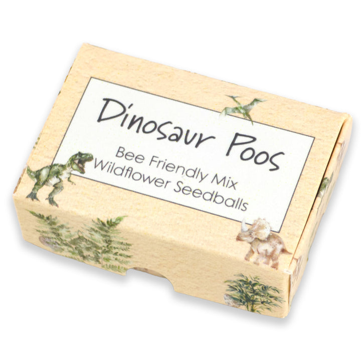 Dinosaur Poos | 6 Seedball Matchbox | Bee Mix | Cracker Filler | Little Gift