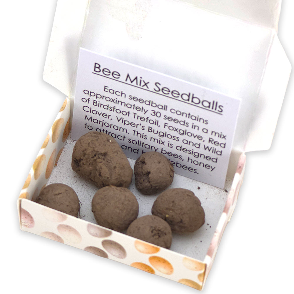 Happy Easter | Natural Speckled Eggs | 6 Seedball Box | Bee Mix | Cracker Filler