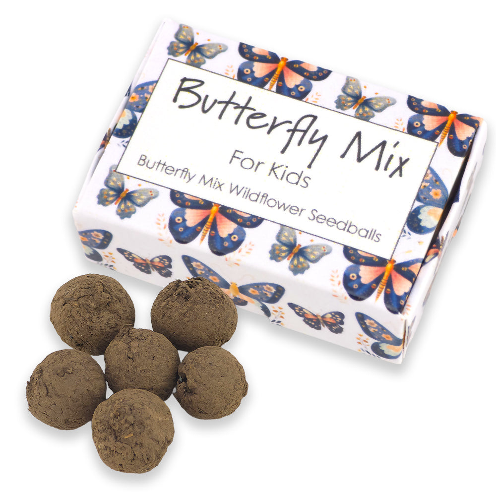 Butterfly Mix for Kids | 6 Seedball Matchbox | Cracker Filler | Little Gift