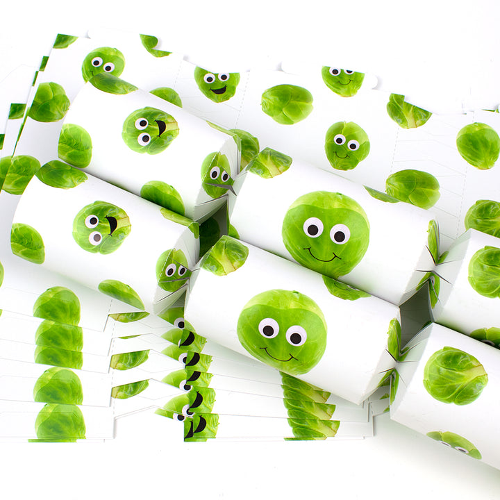 Googly Sprouts | Christmas Cracker Making Craft Kit | Make & Fill Your Own