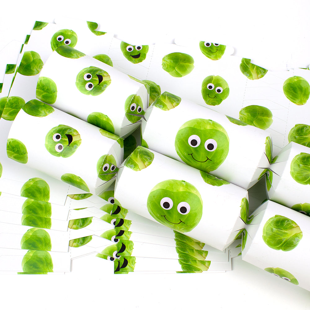 Googly Sprouts | Christmas Cracker Making Craft Kit | Make &amp; Fill Your Own