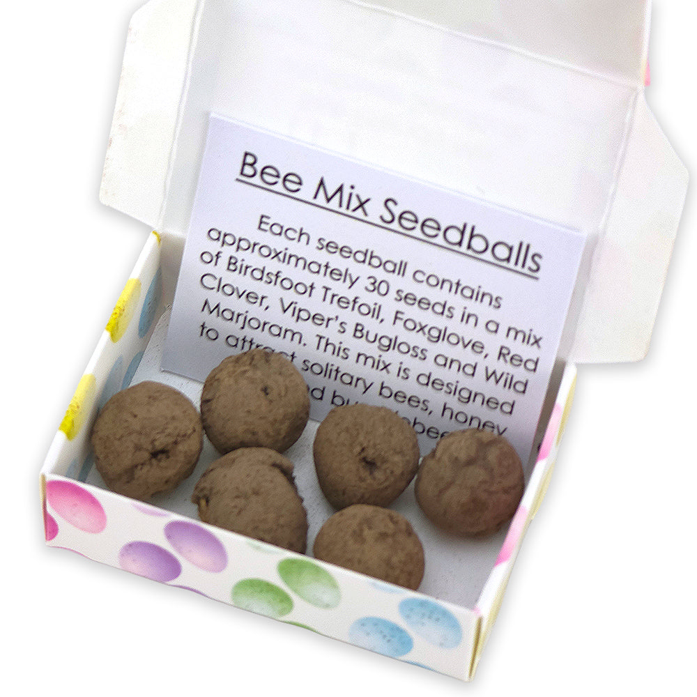Happy Easter | Pastel Speckled Eggs | 6 Seedball Box | Bee Mix | Cracker Filler