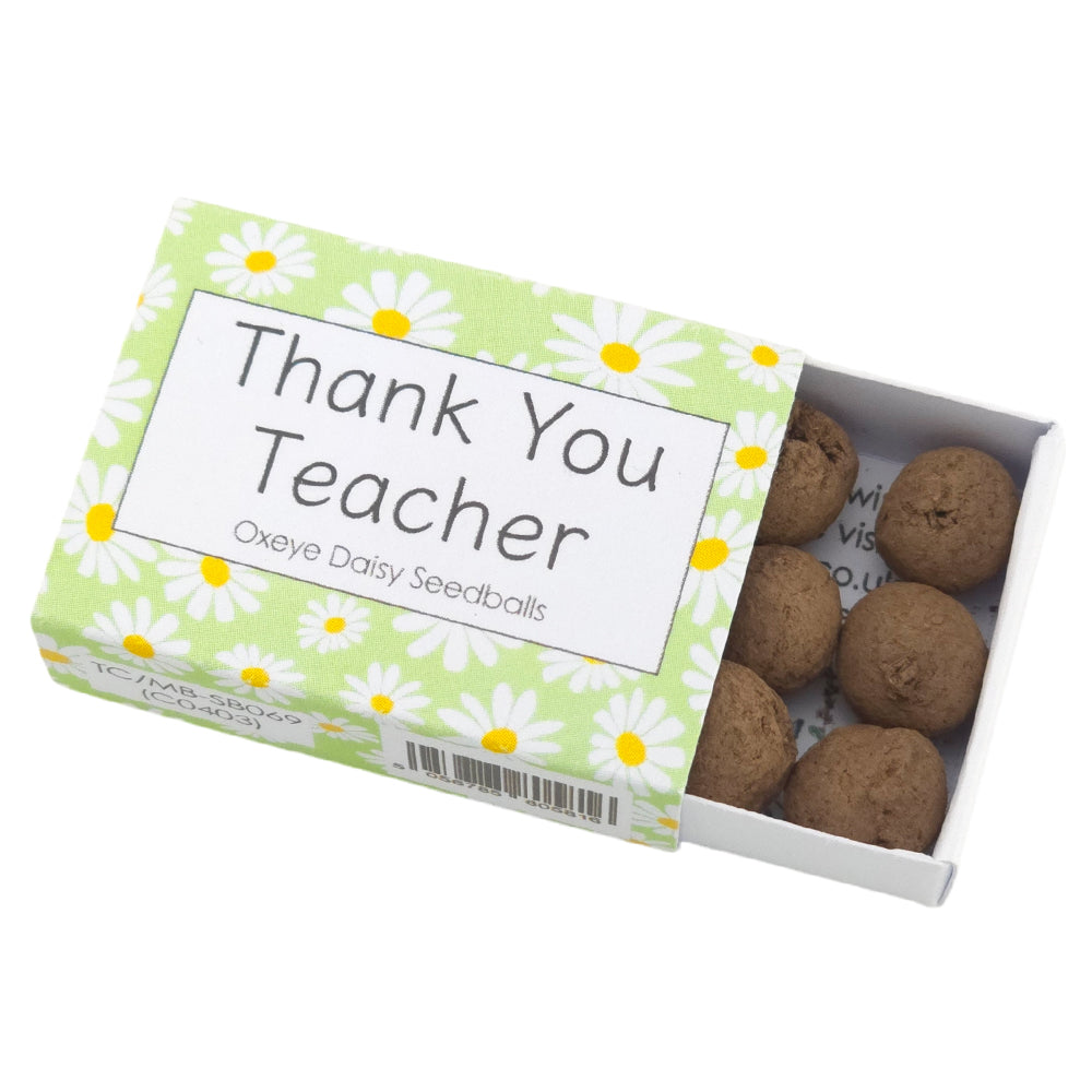 Thank You Teacher | 6 Seedball Matchbox | Oxeye Daisies | Cracker Filler Gift