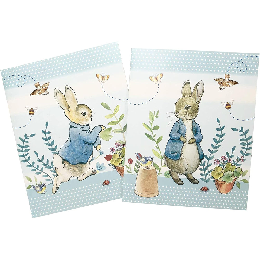 Notecards & Pen Writing Set | Peter Rabbit | Beatrix Potter Gift Idea