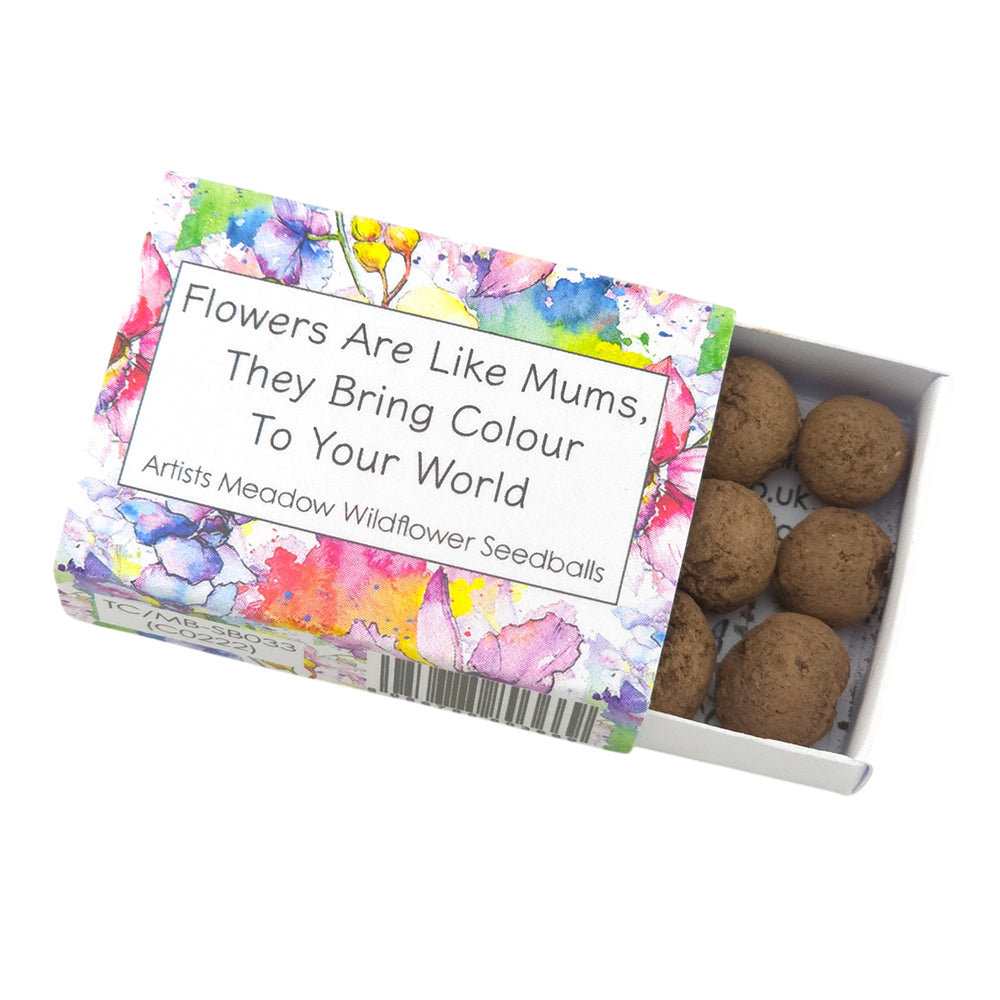 Flowers Are Like Mums | Artist Mix Seedball Box | Cracker Filler | Mini Gift