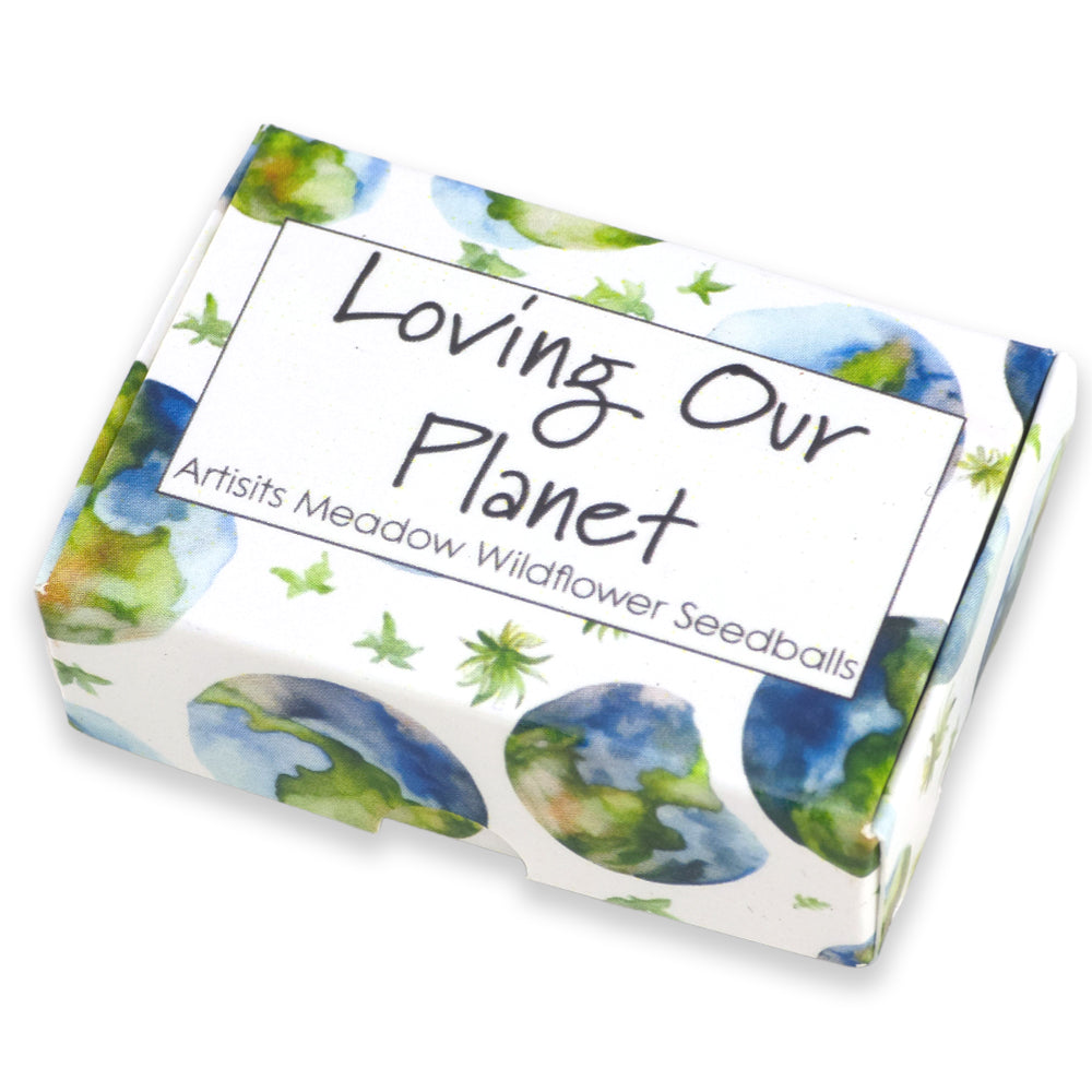 Loving Our Planet | Artist Mix | 6 Seedball Box | Cracker Filler | Little Gift