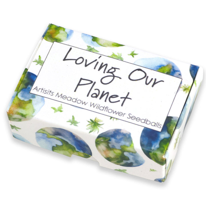 Loving Our Planet | Artist Mix | 6 Seedball Box | Cracker Filler | Little Gift