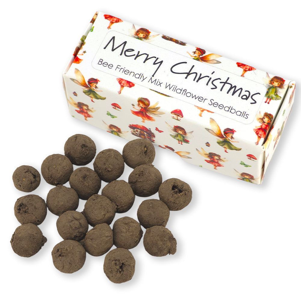 Christmas Fairies | Merry Christmas | Box of 20 Bee Mix Seedballs| Cracker Filler