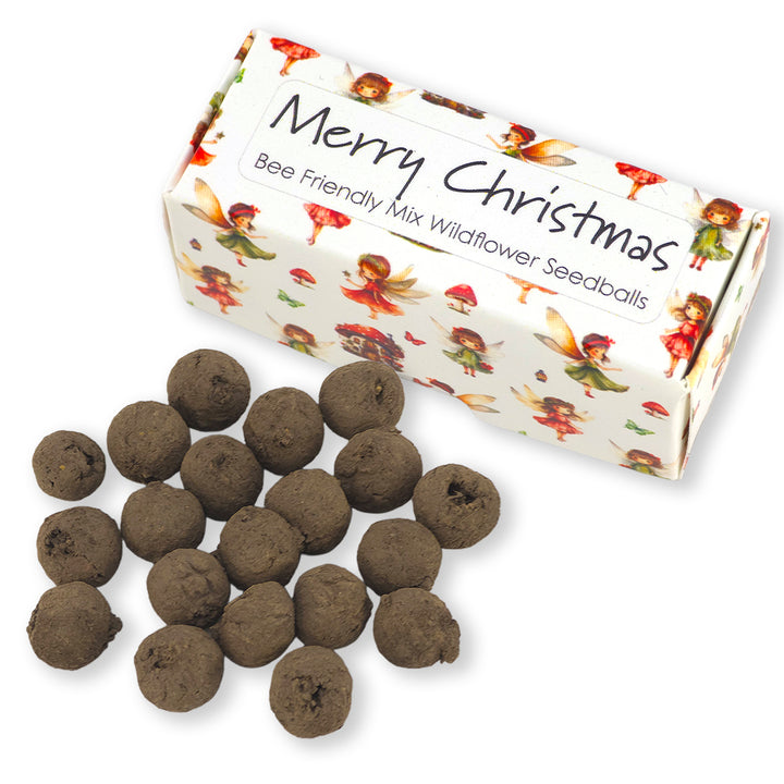 Christmas Fairies | Merry Christmas | Box of 20 Bee Mix Seedballs| Cracker Filler