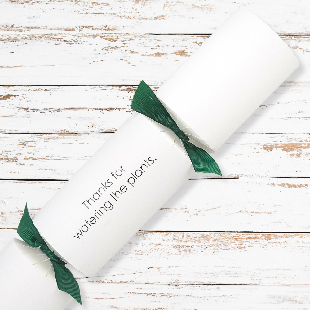 Thanks for watering the plants | Modern Phrases Cracker Making Kit