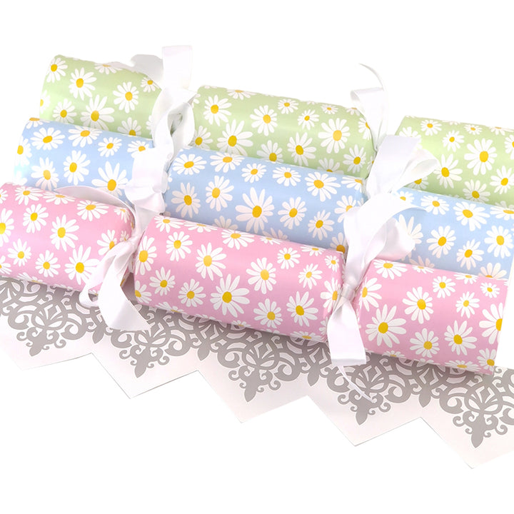 Assorted Colour Daisy Flower | Cracker Making Craft Kit | Make &amp; Fill Your Own
