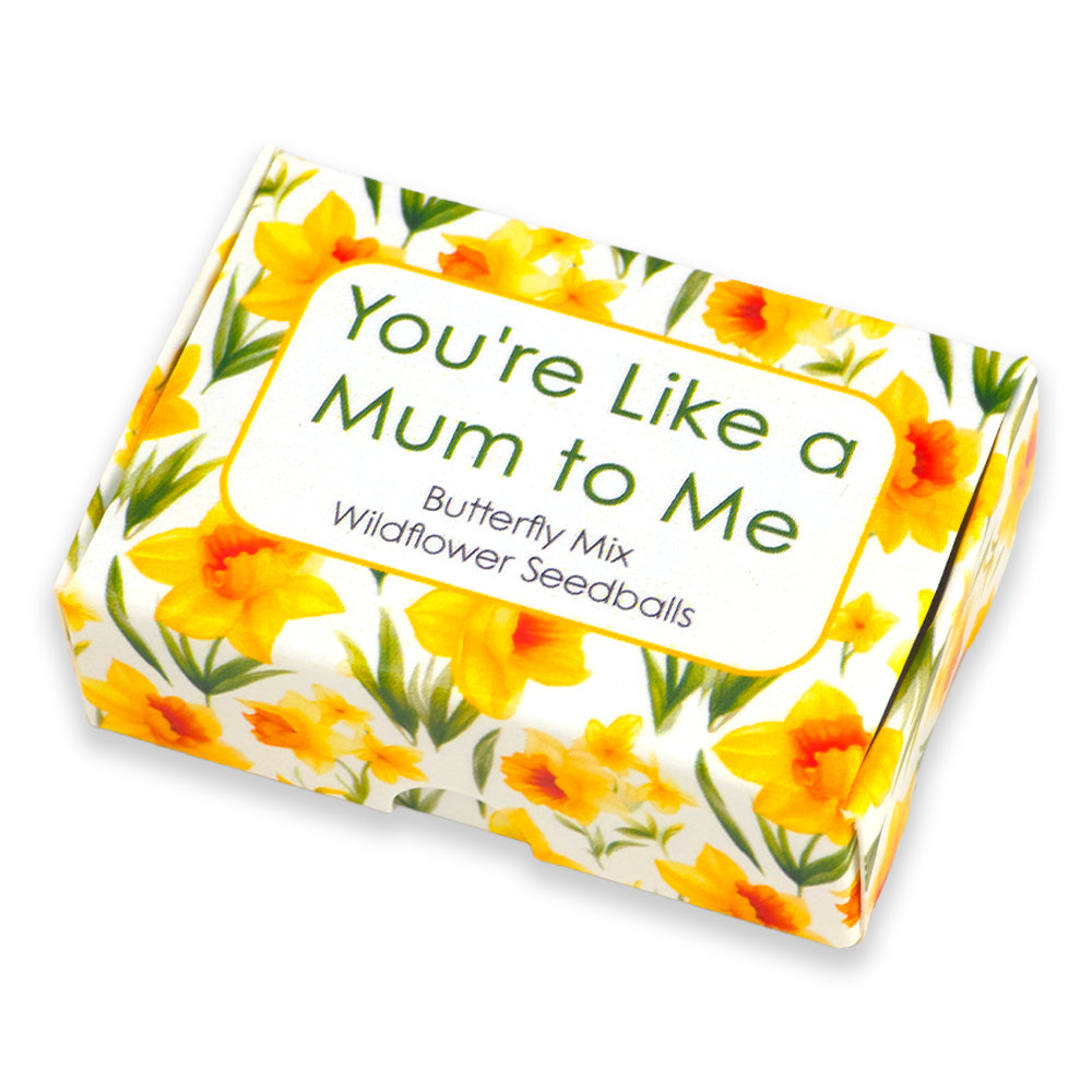 You're Like a Mum to Me | Box of 6 Seedballs | Butterfly Mix | Cracker Filler