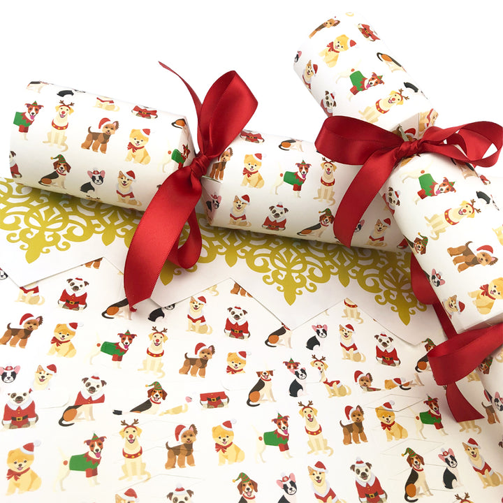 Christmas Dogs | Cracker Making Craft Kit | Make &amp; Fill Your Own