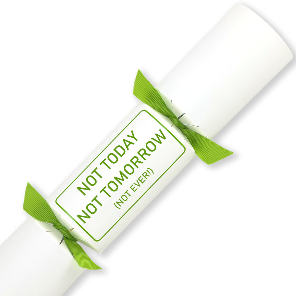 Not Today, Tomorrow or EVER! | Single Cracker Making Craft Kit | Office Banter