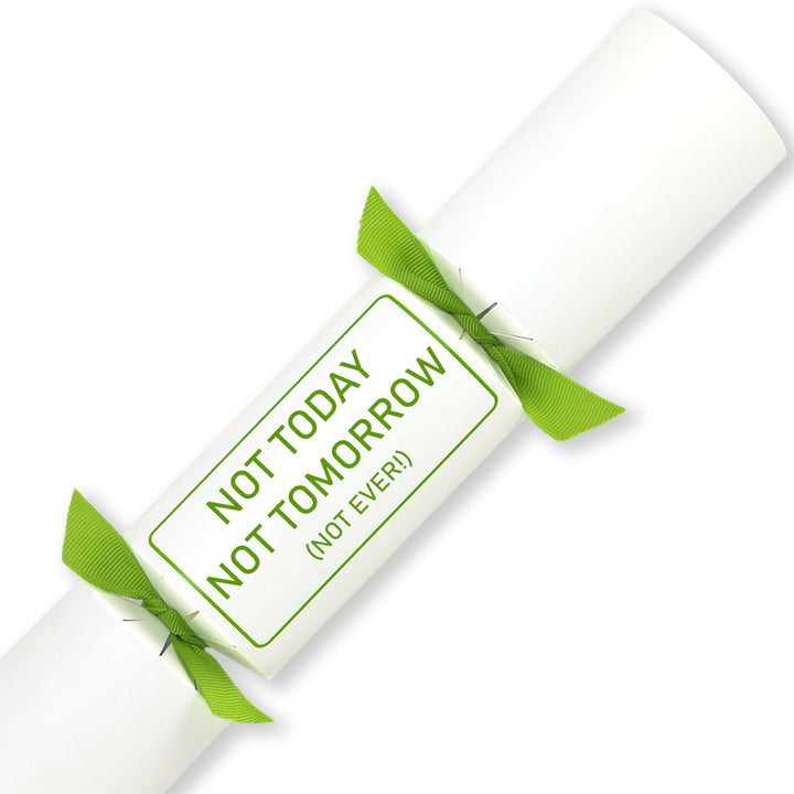 Not Today, Tomorrow or EVER! | Single Cracker Making Craft Kit | Office Banter