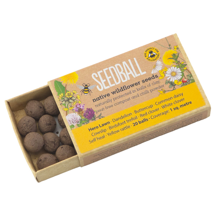 Hero Lawn | 20 Native Wildflower Seedballs | Mini Gift | Cracker Filler