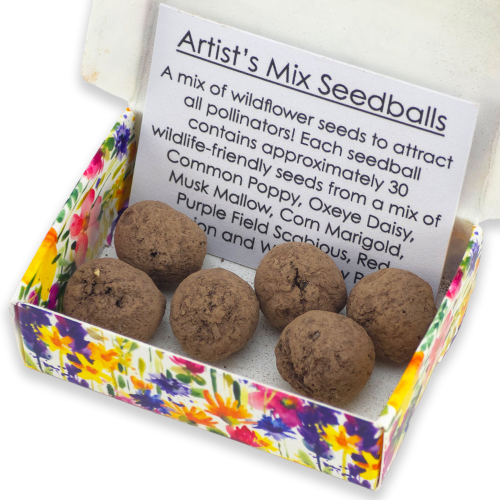 Flowers Are Like Friends | Artist Mix | 6 Seedball Box | Cracker Filler Gift