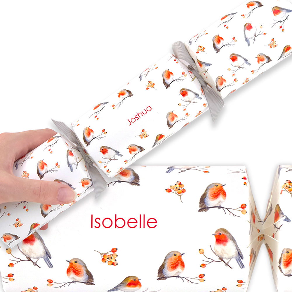 Personalised Cracker Making Craft Kit | Watercolour Robin | Minimum 4