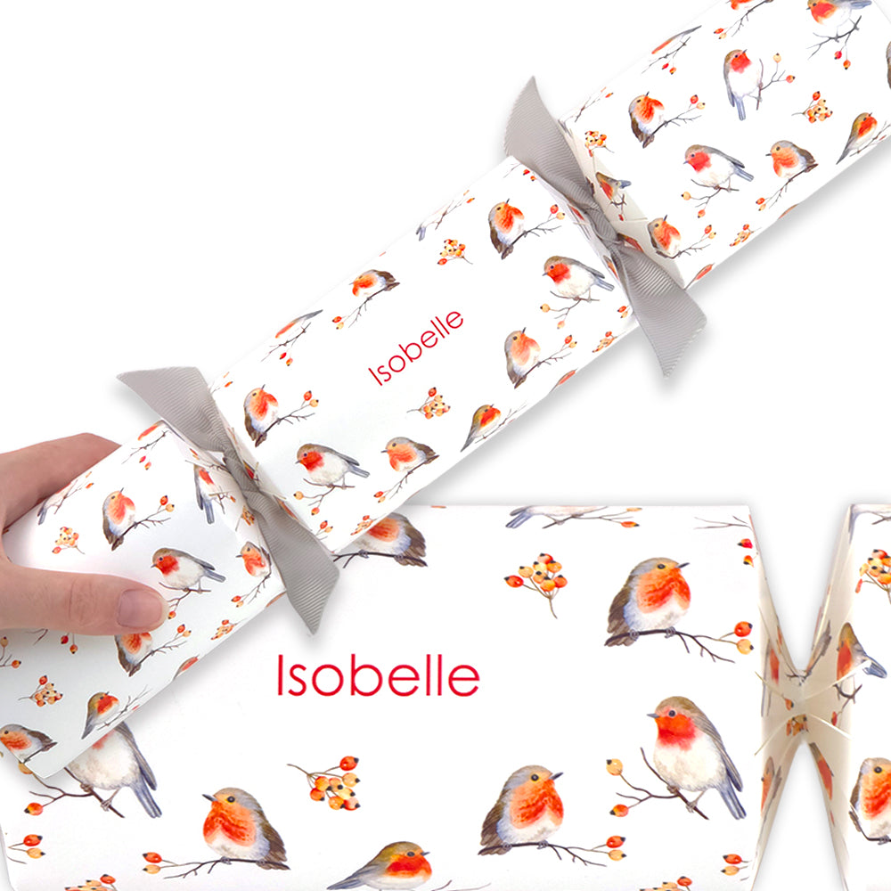 Personalised Cracker Making Craft Kit | Watercolour Robin | Minimum 4