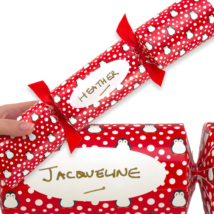 Personalise Your Own Christmas Crackers Craft Kit | Snowtime Penguin | Minimum 4