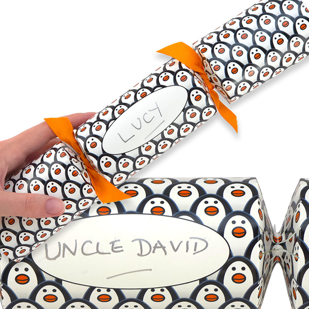 Personalise Your Own Crackers Craft Kit | 4 or More | Just Penguins