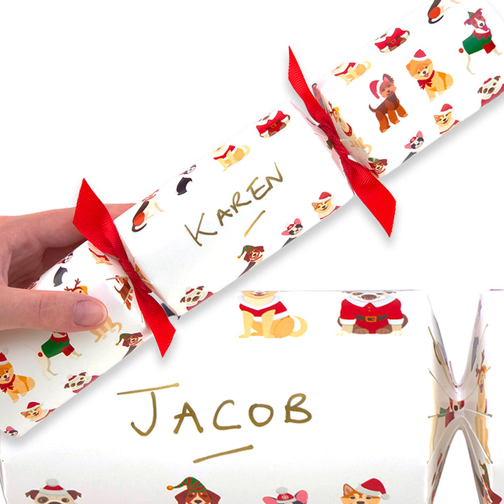Personalise Your Own Crackers Craft Kit | Christmas Dogs | Minimum 4