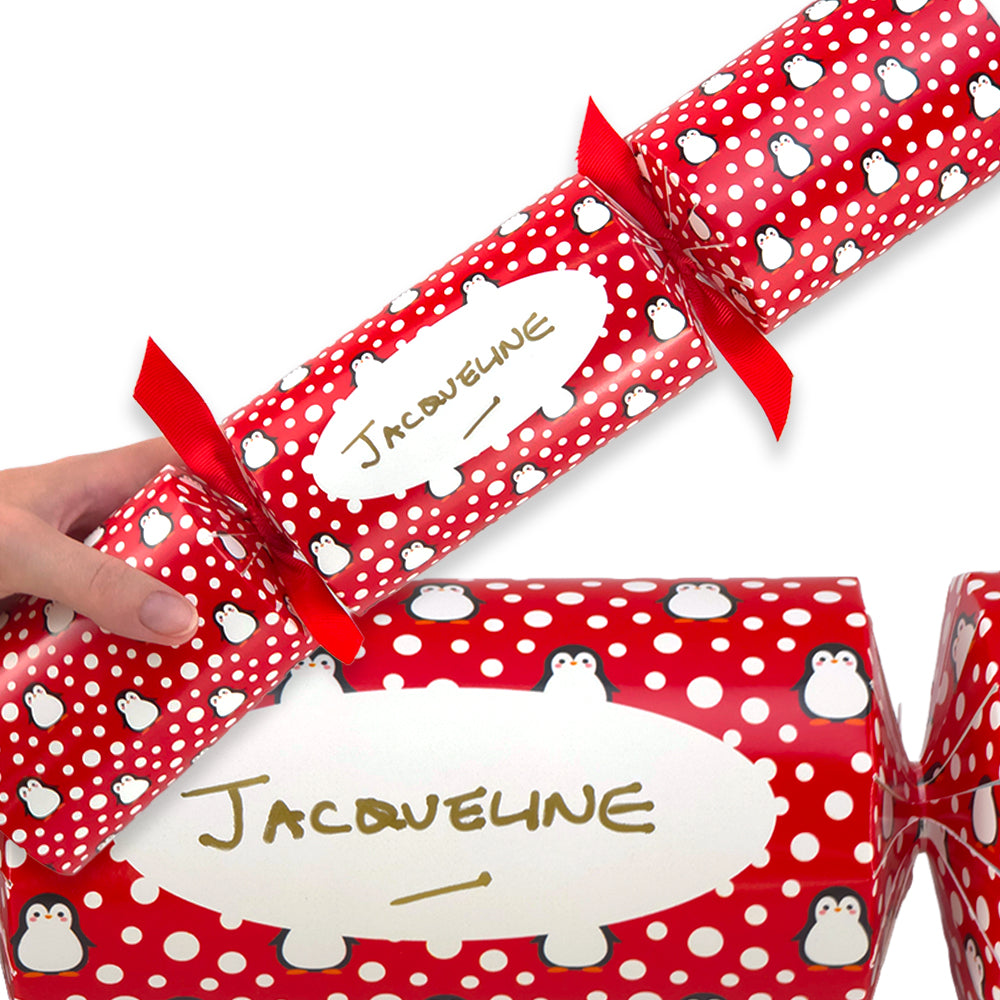 Personalise Your Own Christmas Crackers Craft Kit | Snowtime Penguin | Minimum 4