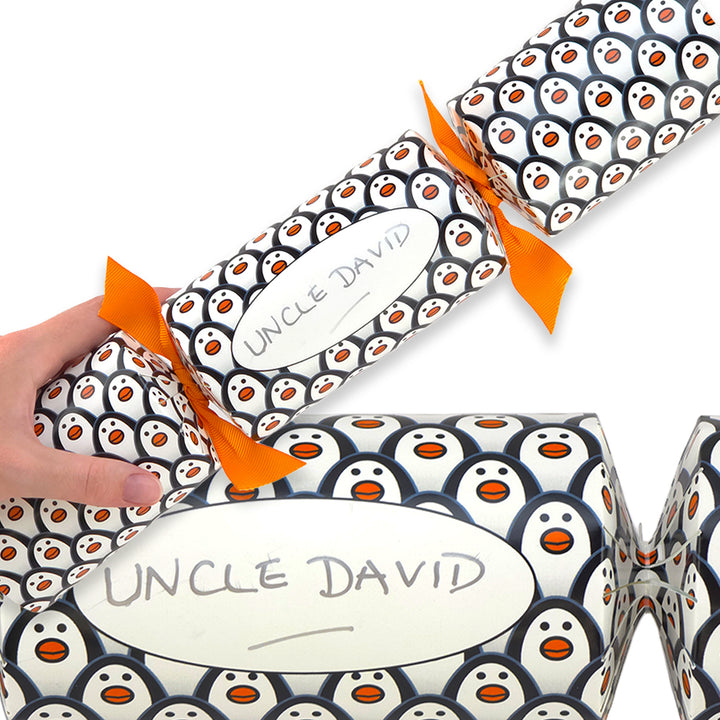 Personalise Your Own Crackers Craft Kit | 4 or More | Just Penguins