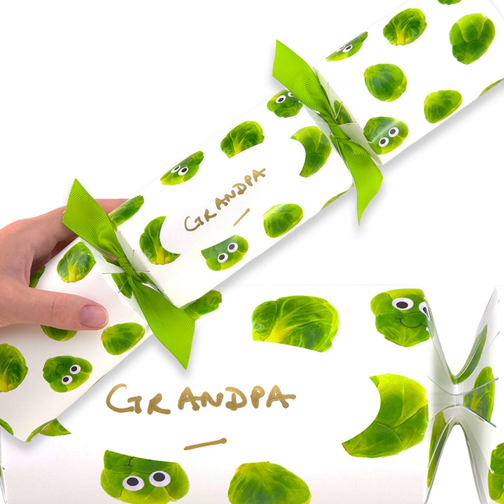 Personalise Your Own Crackers Craft Kit | Googly Sprouts | Minimum 4