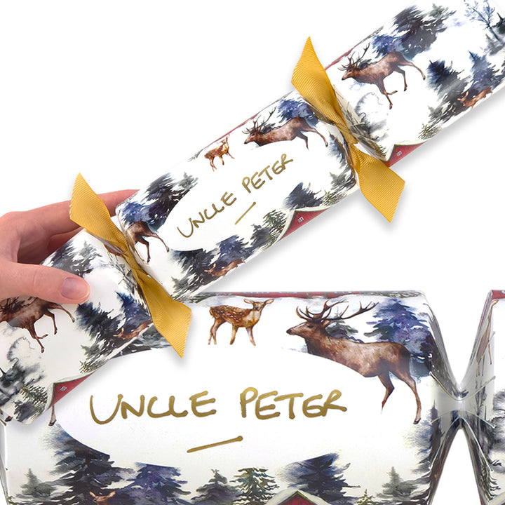 Personalise Your Own Crackers Craft Kit | Christmas in the Alps | Minimum 4