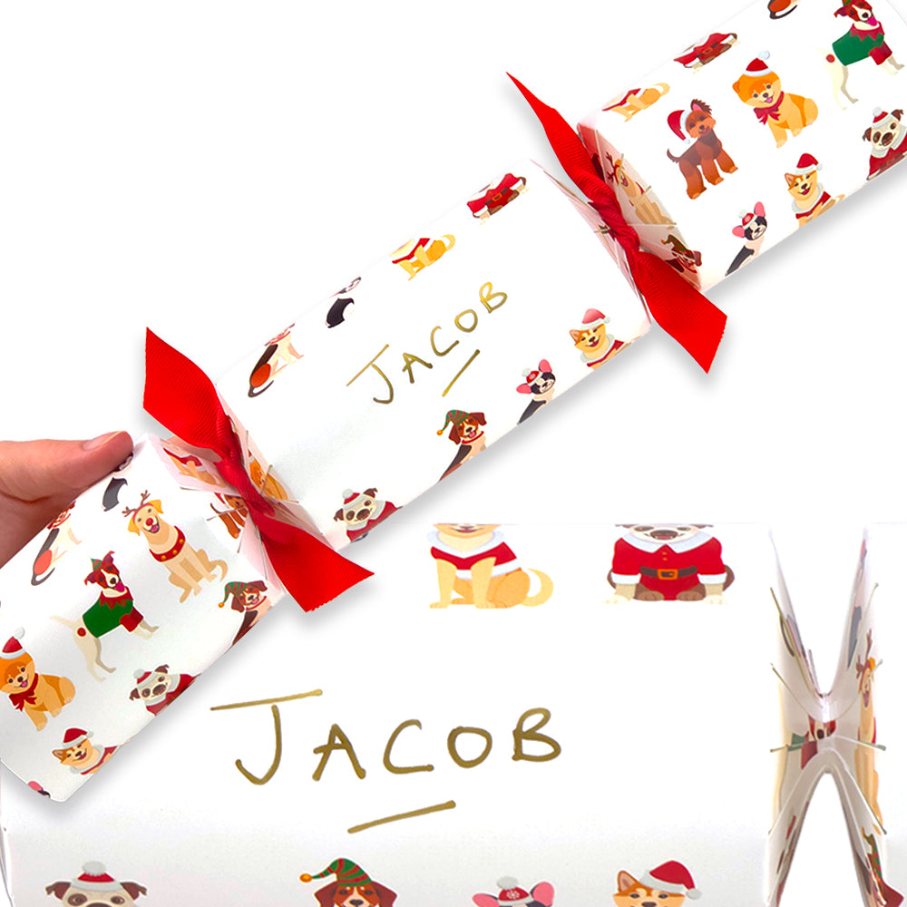 Personalise Your Own Crackers Craft Kit | Christmas Dogs | Minimum 4