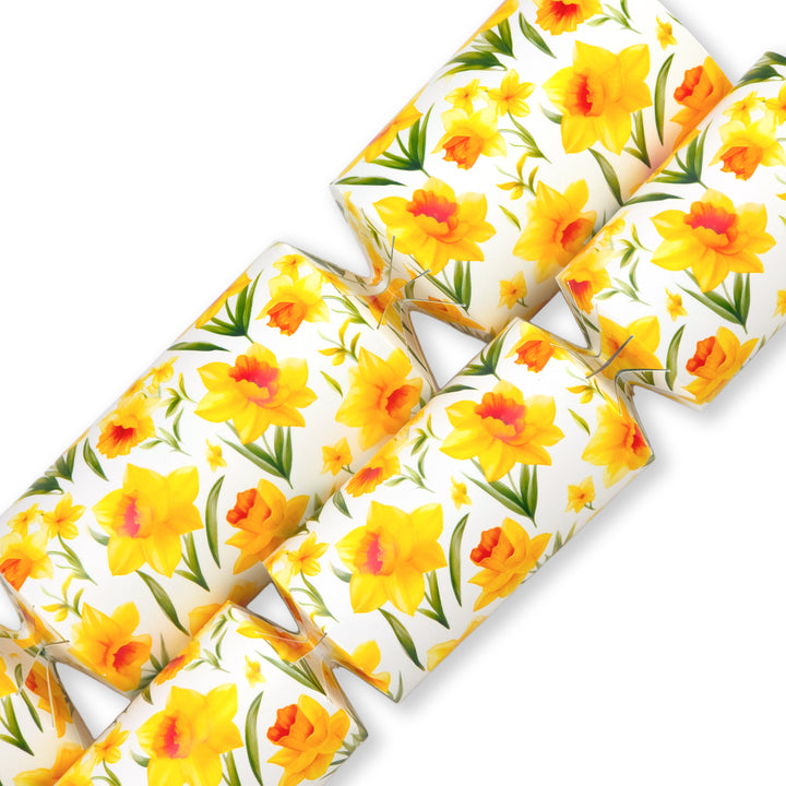Spring Daffodils | Cracker Making Craft Kit | Make &amp; Fill Your Own