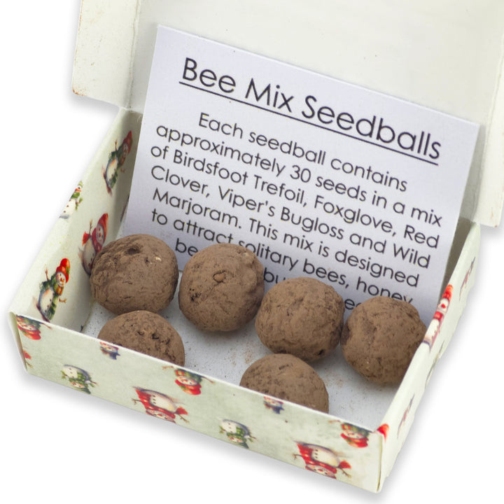 Snowman Eyes | 6 Seedball Matchbox | Bee Mix | Cracker Filler | Little Gift