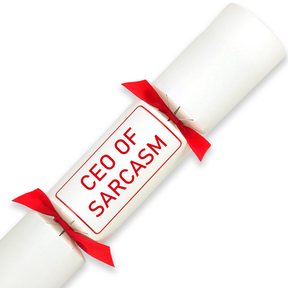 CEO of Sarcasm | Single Cracker Making Craft Kit | Office Banter